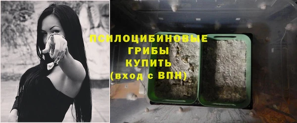 стафф Няндома