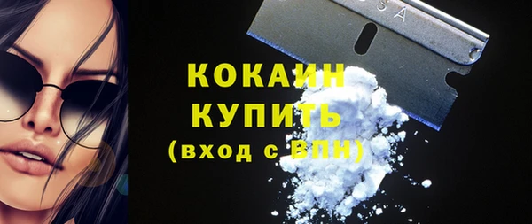 стафф Няндома