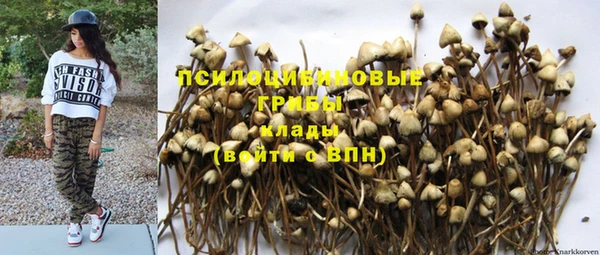 ГАЛЛЮЦИНОГЕННЫЕ ГРИБЫ Осташков