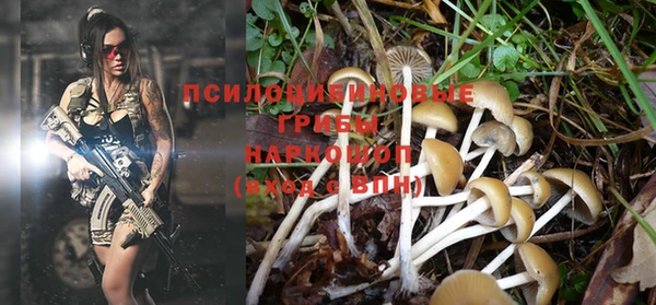 стафф Няндома