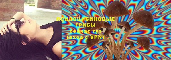 стафф Няндома