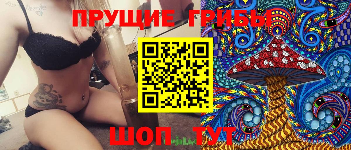 Галлюциногенные грибы ЛСД  где можно купить   Галлюциногенные грибы мицелий  Курчатов 