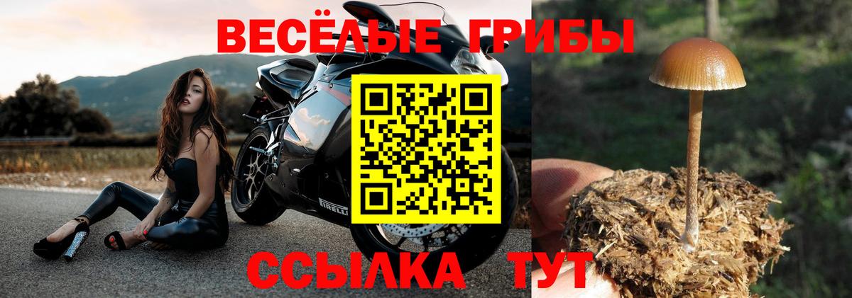 Псилоцибиновые грибы прущие грибы  Вход с VPN  Курчатов 